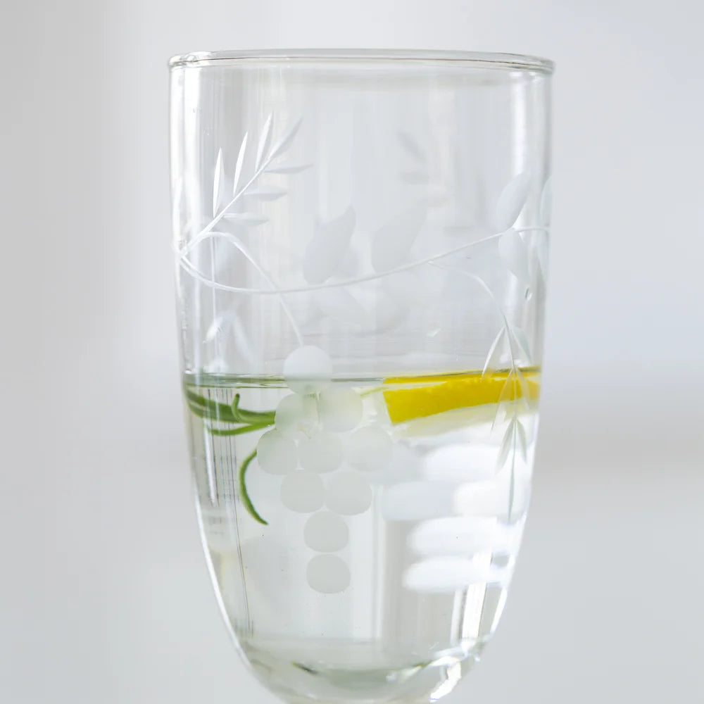 Rambling Vine Etched Champagne Glass